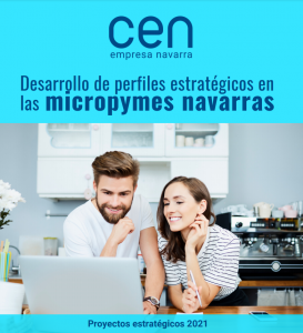 ‘Desarrollo de Perfiles Profesionales Estratégicos de las Pequeñas y Medianas Empresas Navarras’